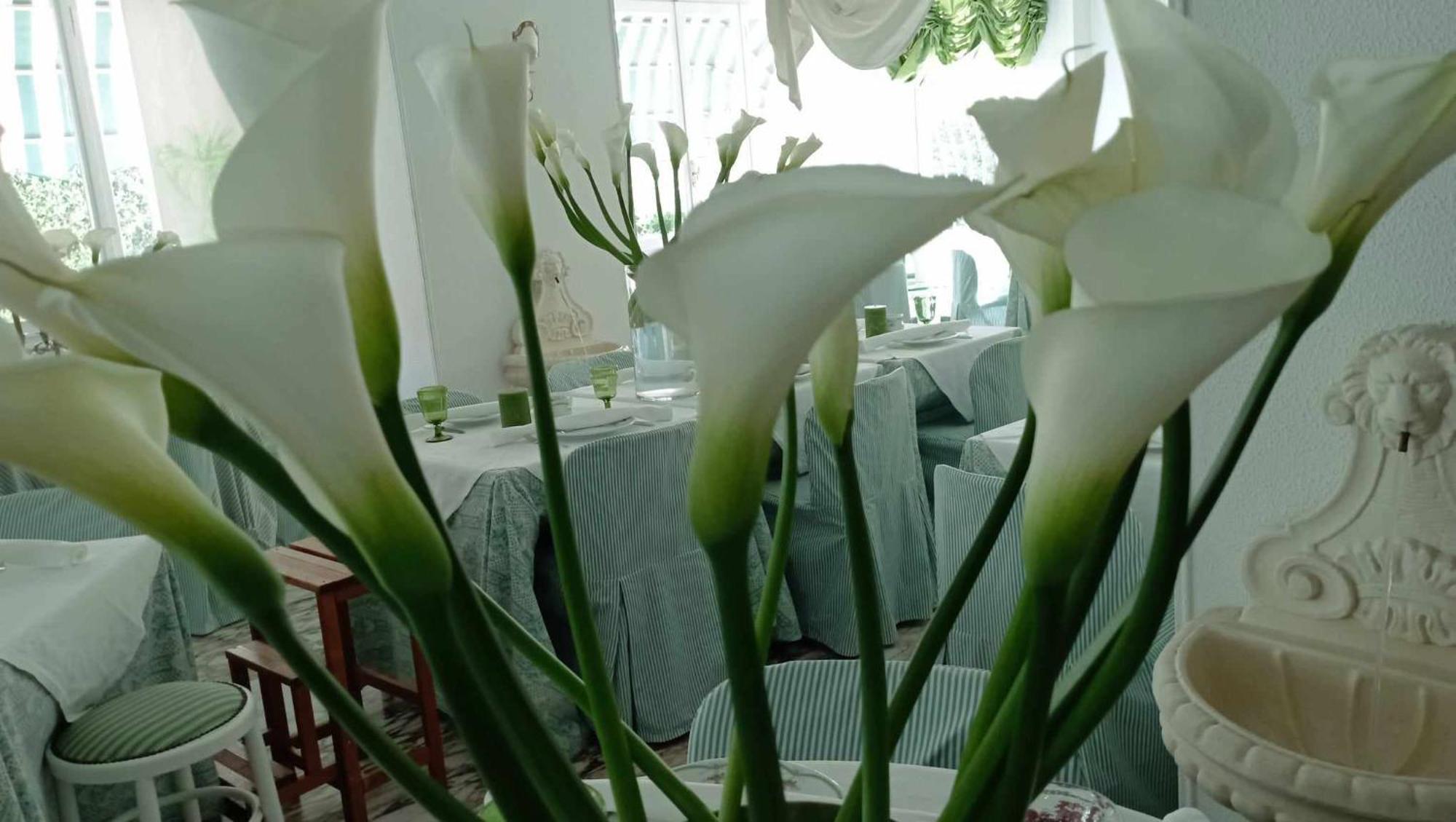 Eveline Portosole Hotel San Remo Zewnętrze zdjęcie